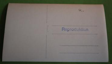 Preview: altes Foto - Deutsche Nationalfeier in Amerika - 1937 der deutschstämmigen dort - Repro