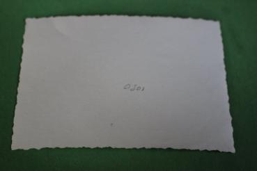 Preview: Gruppenfoto Soldaten der Luftwaffe