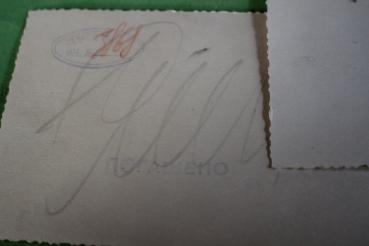 zwei interessante alte Fotos - NSKK  - russische Kopien