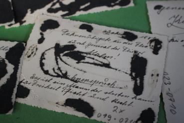 6 original Fotos Generaloberst Alfred Keller in Quakenbrück