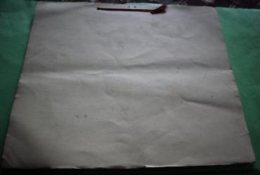 Einsatz im Osten von Otto Tiemann