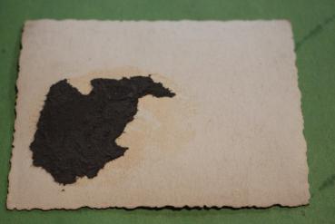 Preview: schönes altes Passfoto ? eines jungen SS-Mannes