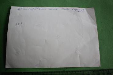 Preview: tolles altes größeres Foto - junge Mädchen begrüßen A.H. - beschriftet