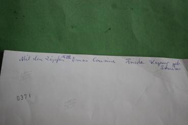 Preview: tolles altes größeres Foto - junge Mädchen begrüßen A.H. - beschriftet