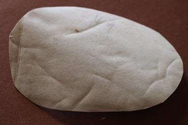 Preview: altes Foto - Marsch der Betriebsgemeinschaft  der Firma E- gross - DAF Fahnen - Ort ?