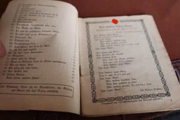 Preview: Kampf- und Trutzlieder der erwachten Nation 1933