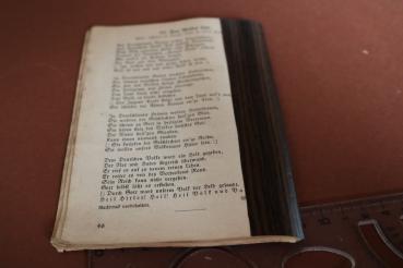 Preview: Kampf- und Trutzlieder der erwachten Nation 1933