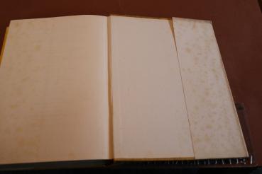 Buch - Die jüdische Weltpest - Hermann Esser 1939 - 3. Auflage