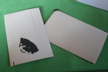 Portrait Soldat Waffen-SS - LSSAH Panzertruppe - Benešov  + Hochzeitsfoto