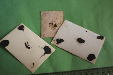 drei Fotos eines SS-Mannes - Passfoto - Feier - Gruppenfoto