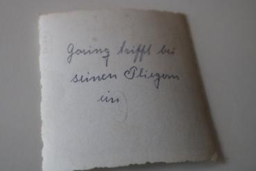 Preview: Schnappschuss - Göring und ein RKTräger bei Truppenbesuch