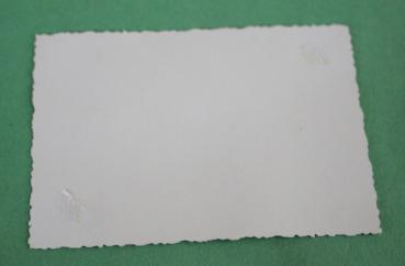 Preview: Foto - Erhobener Arm und Flaggen