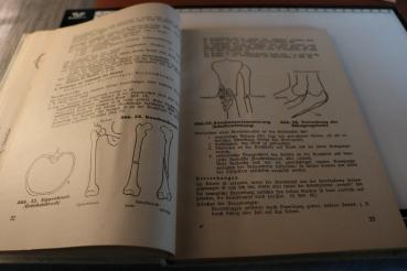 Preview: Amtliches Unterrichtsbuch über Erste Hilfe - 1942