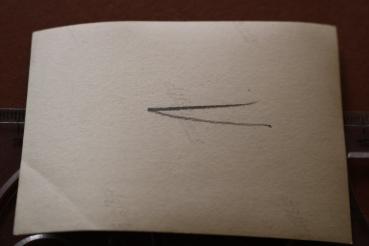 Preview: altes Foto - zwei Soldaten der Waffen-SS mit zwei hübschen Frauen