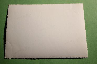 Preview: Hochzeitsgesellschaft - Hochzeit - SS-Mann