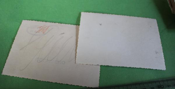 zwei interessante alte Fotos - NSKK  - russische Kopien