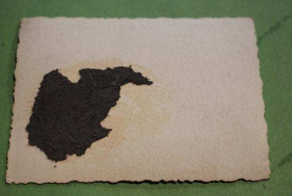 schönes altes Passfoto ? eines jungen SS-Mannes