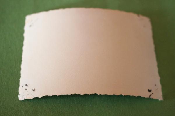 original Foto - Feierlichkeit des Reichsarbeitsdienst