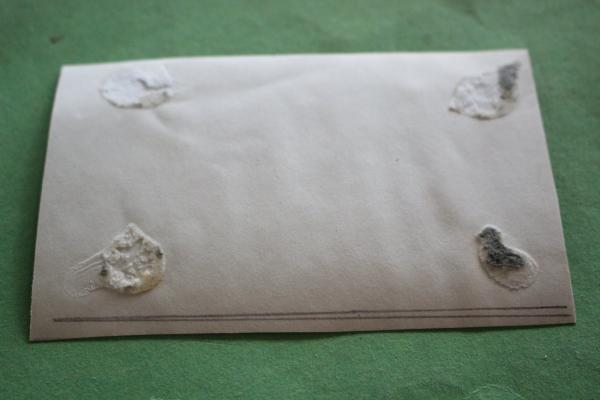 Grab von Horst Wessel  1930