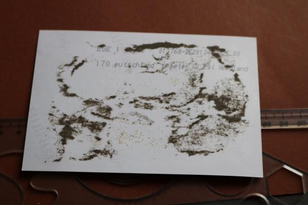 Repro Foto - Portrait SS-Mann mit Stahlhelm