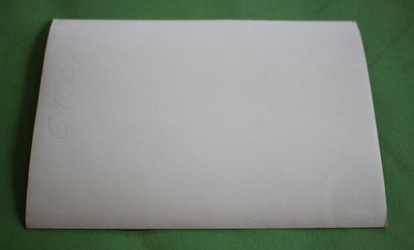 Portrait  junger SS-Mann  - Nachkriegsabzug