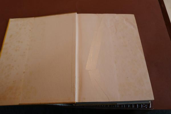 Buch - Die jüdische Weltpest - Hermann Esser 1939 - 3. Auflage