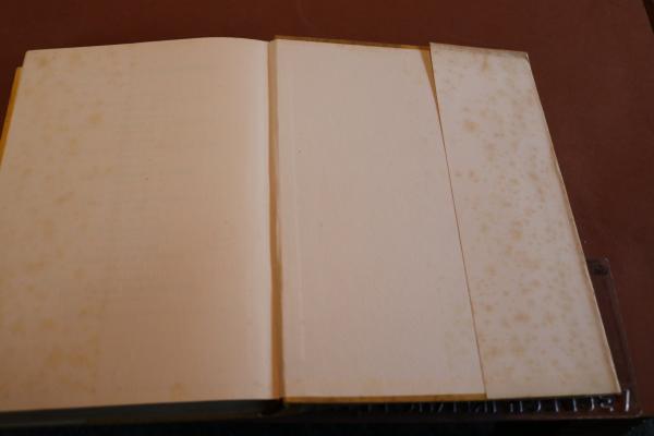 Buch - Die jüdische Weltpest - Hermann Esser 1939 - 3. Auflage