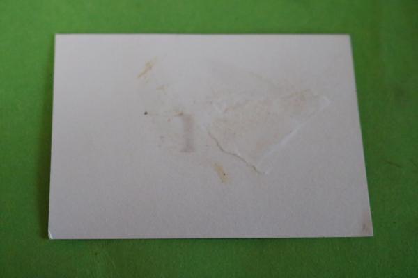 Passfoto - SS-Mann Totenkopf -  Repro