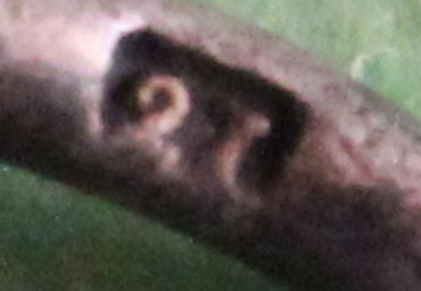 Military pass of a soldier with original EK II - manufacturer 27