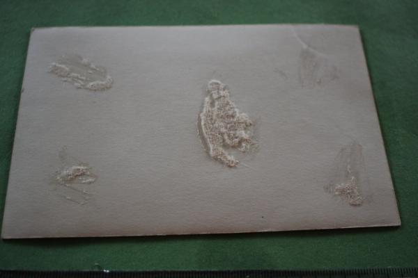 Schnappschuss Oberfeldwebel  Stumpf, Werner  III./J.G. 53