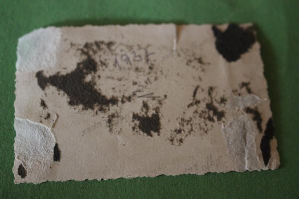 Foto - Statue großer Adler mit deutsch-italienischer Beflaggung