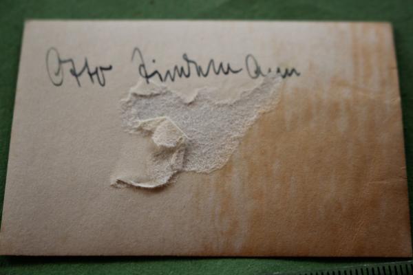 Passfoto - Soldat SS-Standarte Germania