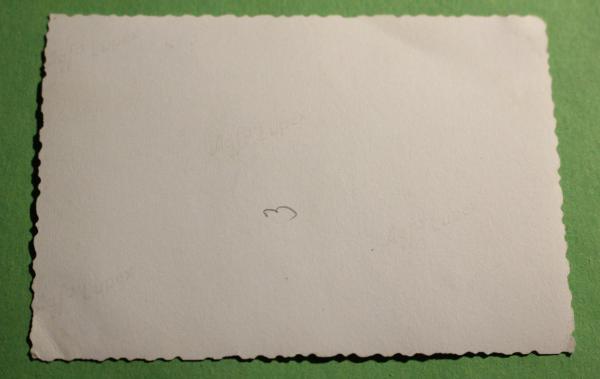 Festwagen Erntedankfest 1935