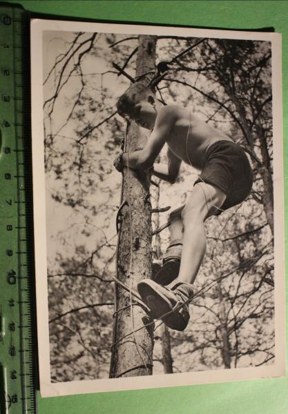 Nachrichten-HJ - Hochlegen einer Fernsprechleitung