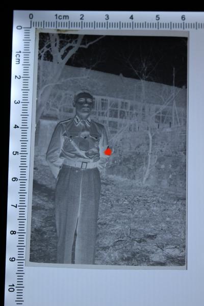 altes Negativ - NSKK Rottenführer mit Parteiabzeichen und SA Sportabzeichen  16/M40